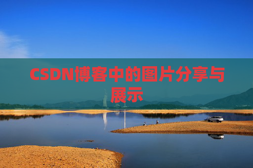 CSDN博客中的图片分享与展示